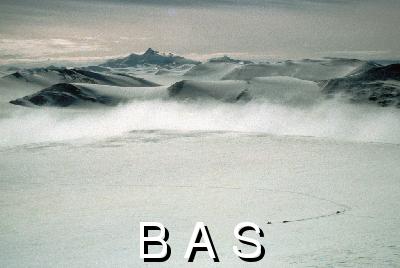 [10003679]
