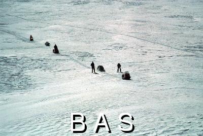 [10003709]